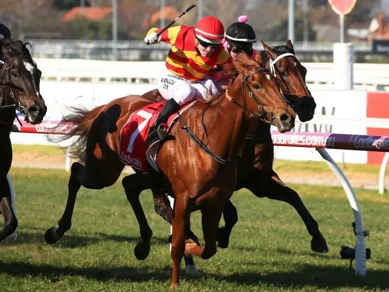 Jockey Noel Callow rides Magnesium Rose