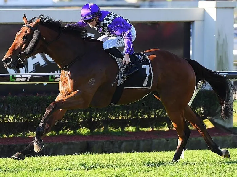 Jockey Jackson Murphy rides Sabkhat to victory in race 7.