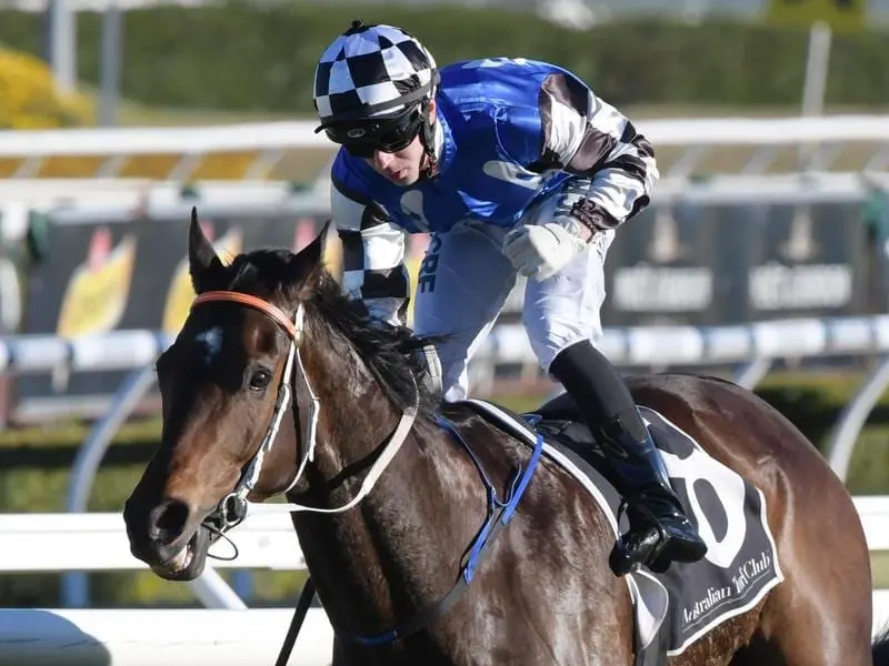 Jockey, Brenton Avdulla rides Tactical Advantage.