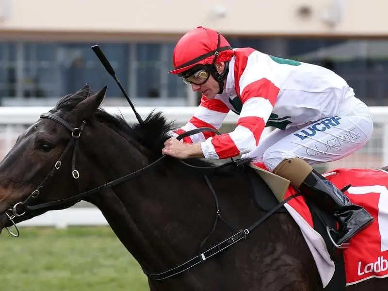 Miss Siska wins at Caulfield.