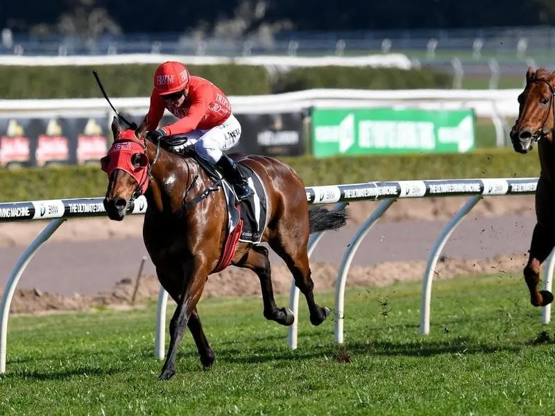 redzel