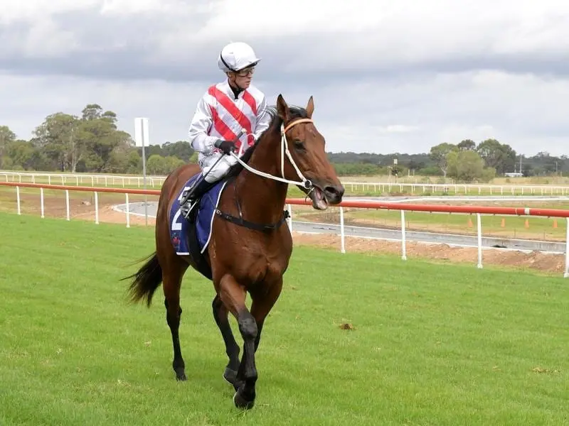 Jockey Kerrin McEvoy after riding Graff to victory