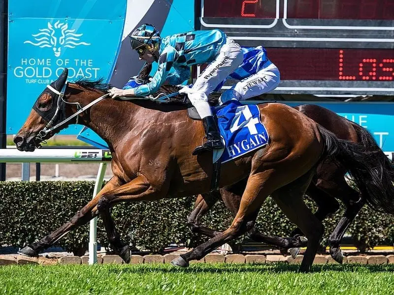 Sugar Sizzle wins at the Gold Coast