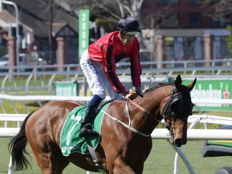 Butchoy returns to scale after winning at Randwick.