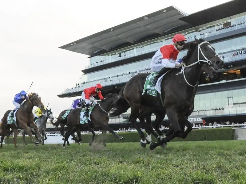 Bergerac winning at Randwick.