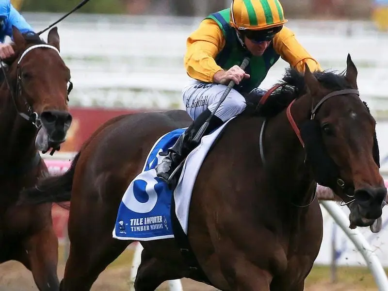 Ball Of Muscle wins at Caulfield.