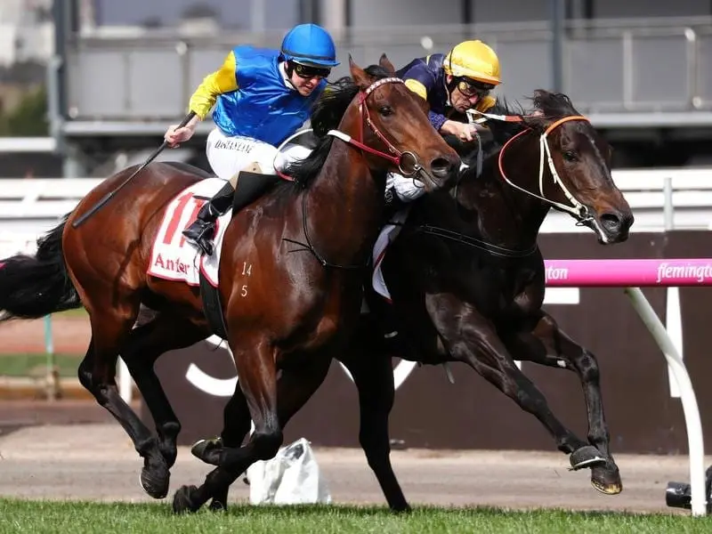 Brutal (right) wins at Flemington.