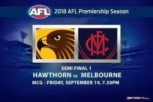 Hawks v Demons semi final