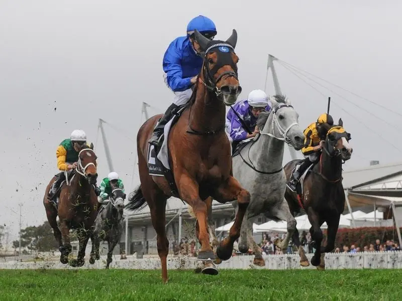 Home Of The Brave wins the Theo Marks Stakes.