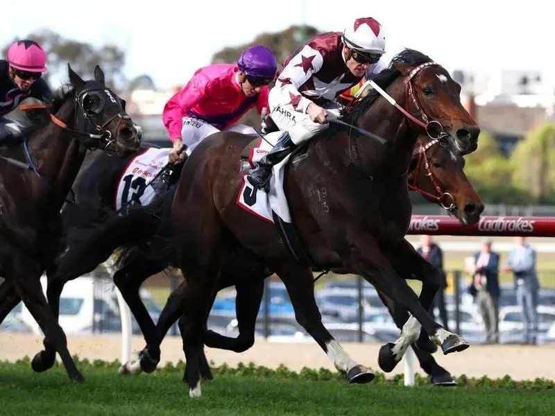 Land Of Plenty wins at Moonee Valley.