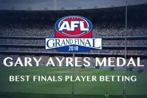 Gary Ayres Medal 2018