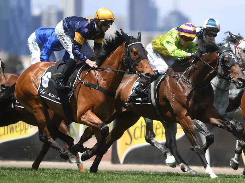 Vengeur Masque (left) is the rank outsider of trainer Mike Moroney's two Caulfield Cup runners. vengeur masque