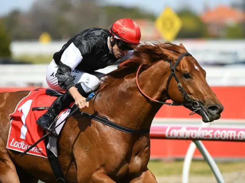 Group One winner Written By will have a maximum of five rivals in the Blue Sapphire Stakes. written by