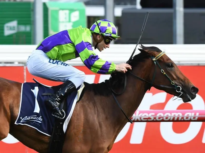I Am A Star has posted consecutive spring carnival stakes wins, claiming the Ladies' Day Vase. I Am A Star.