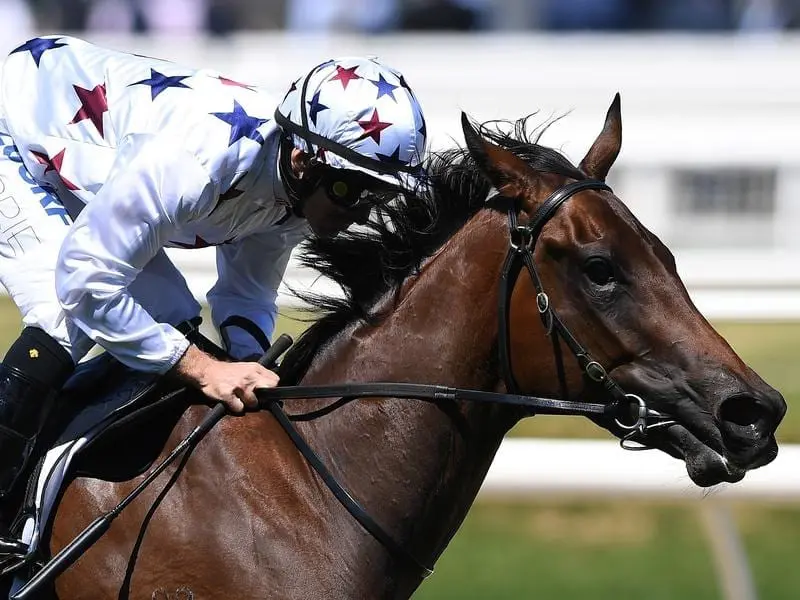 Sunlight wins at Caulfield.