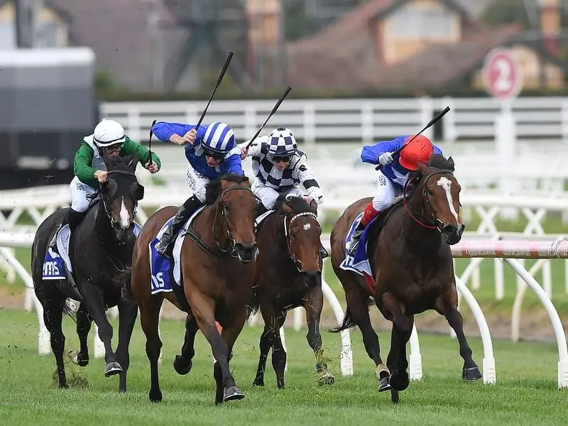 Zizzis (right) will follow a proven path for syndicator Joe O'Neill after winning at Caulfield. Zizzis (right) wins at Caulfield.