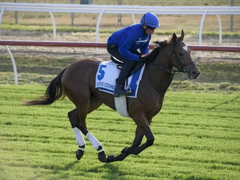 Godolphin's Cross Counter has suffered a cut leg in the lead-up to the Melbourne Cup. cross counter