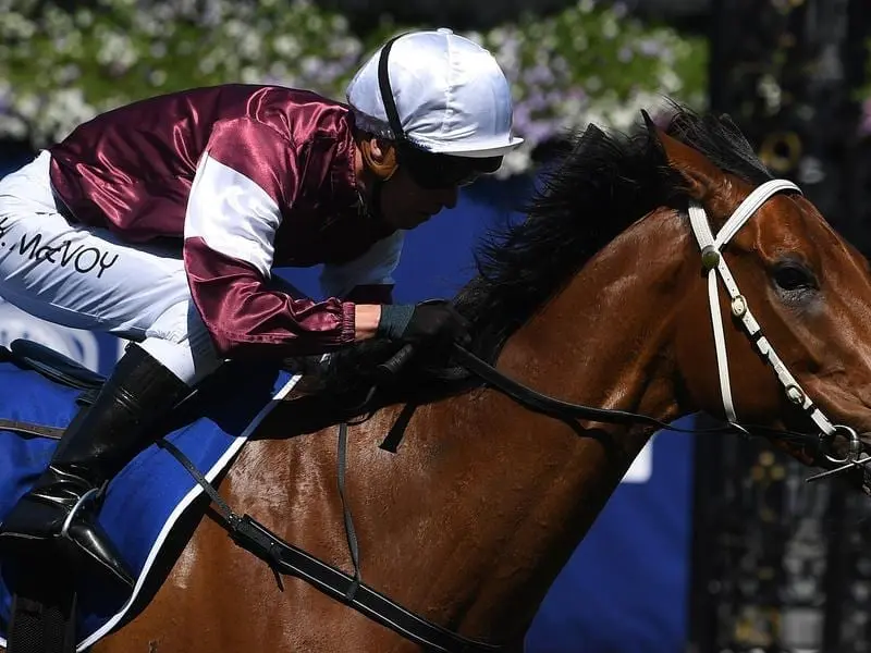 Eckstein will try to go one better in the Group One Myer Classic after a second placing in 2017. Eckstein wins at Flemington.