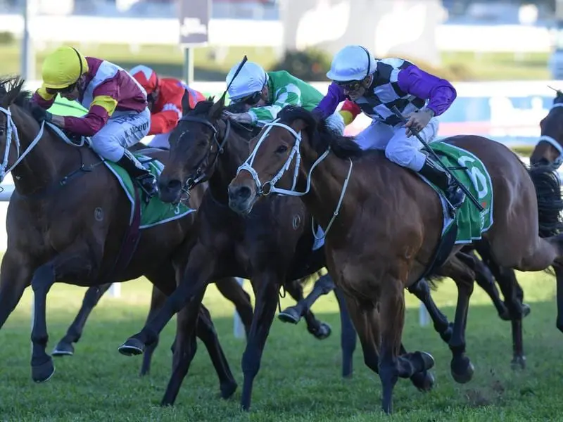 Patrick Erin (right) wins the Group One Metropolitan.