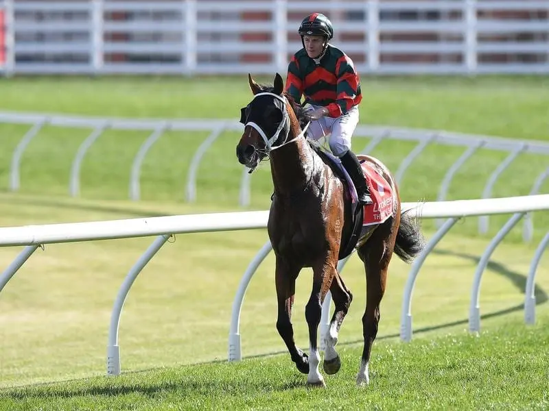 Trainer Chris Waller says The Autumn Sun is not mature enough for the Cox Plate. the autumn sun