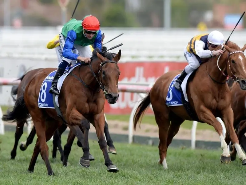 Triple Group One winner Bonneval (l) has been bought by New Zealand's famous Waikato Stud. bonneval