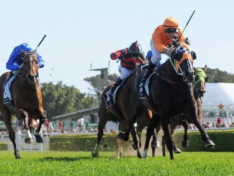 Ace High will work at Caulfield with Damien Oliver aboard ahead of his bid to win the Caulfield Cup. Ace High