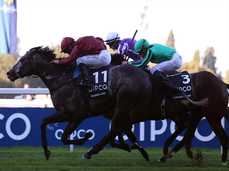Trainer John Gosden has concerns about dirt kickback for Roaring Lion (l) in the Breeders' Cup. roaring lion
