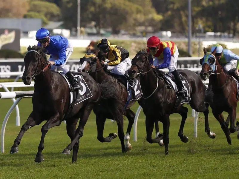 Godolphin's Kementari could clash with The Everest winner Redzel in the Manikato Stakes. kementari