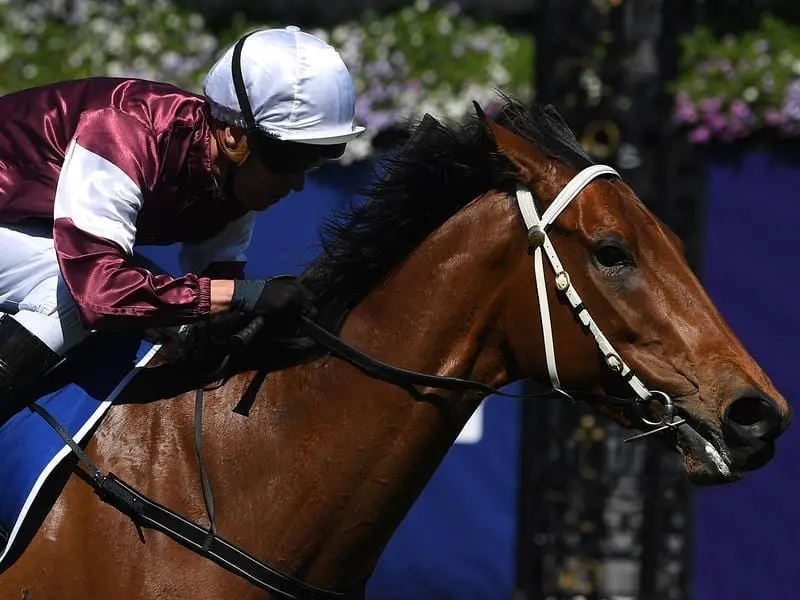 Eckstein will continue her build-up to a Group One race in Melbourne in the Group Three Nivison. Eckstein wins at Flemington.