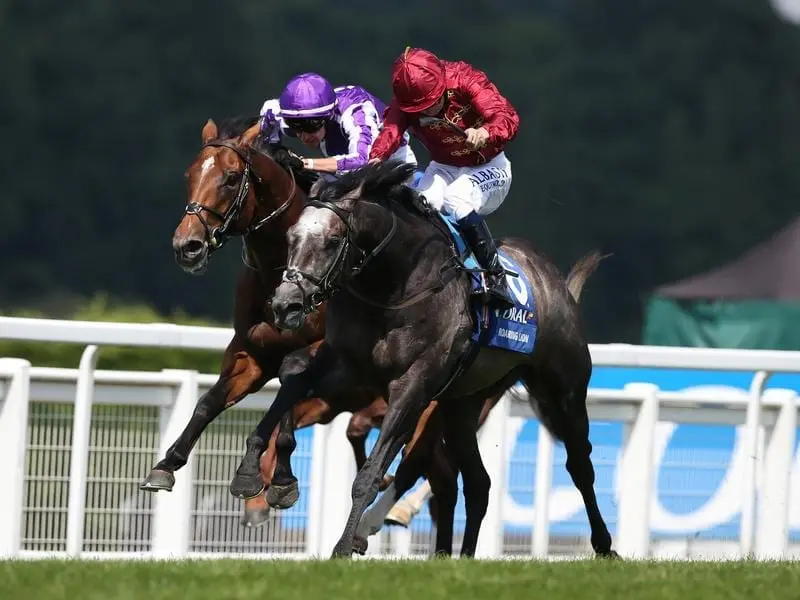 Roaring Lion (r) will run in the QEII Stakes over 1600m rather than the Champion Stakes at Ascot. roaring lion