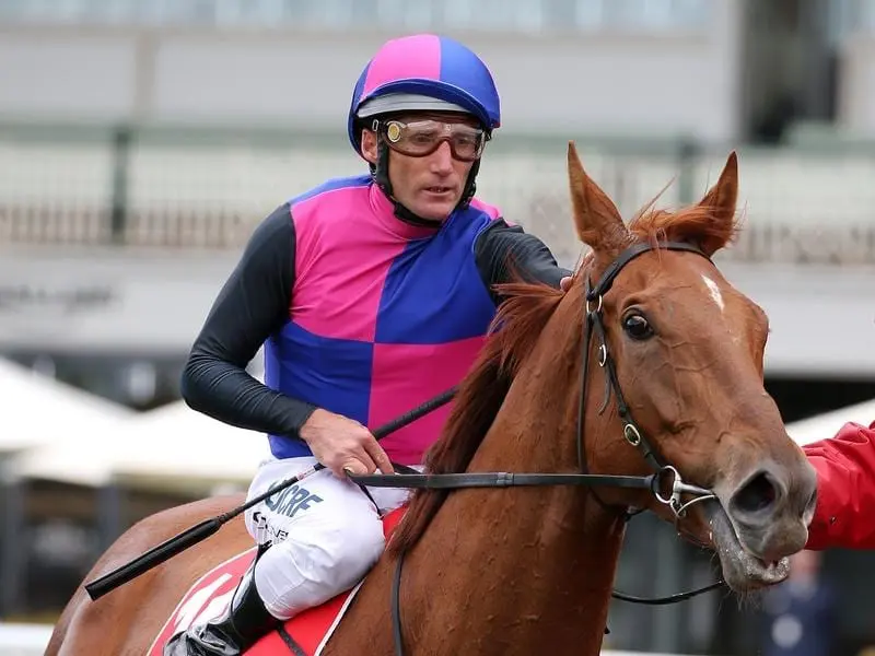 Lindsay Park sprinter Vega Magic is out of the Melbourne spring carnival because of injury. Vega Magic.