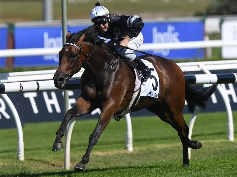 Victorem has had a barrier trial at Gosford ahead of his bid for the $1.3 million Kosciuszko. victorem