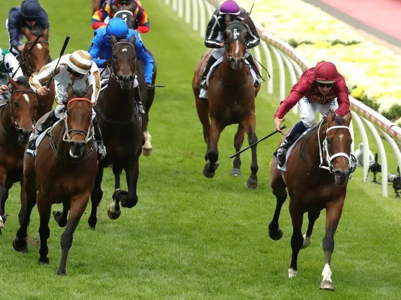 Winx's stablemate Charge (right) has grabbed his own slice of Cox Plate day glory in a fighting win. Charge (right) wins at Moonee Valley.