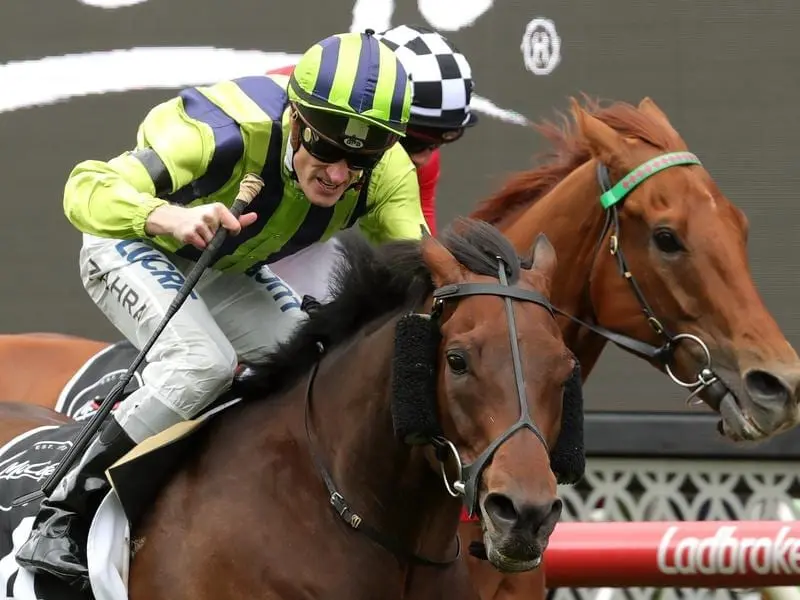 Ventura Storm (right) is closer to a Melbourne Cup start after winning the Moonee Valley Gold Cup. Ventura Storm wins the Moonee Valley Gold Cup.