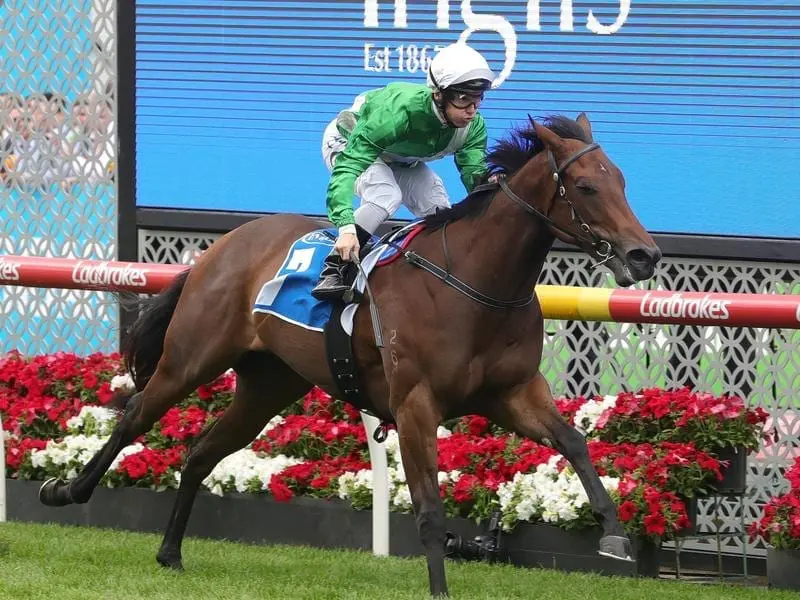 Espaaniyah has made a winning debut for co-trainers Gai Waterhouse and Adrian Bott on Cox Plate day. Espaaniyah wins the opening race on Cox Plate day.