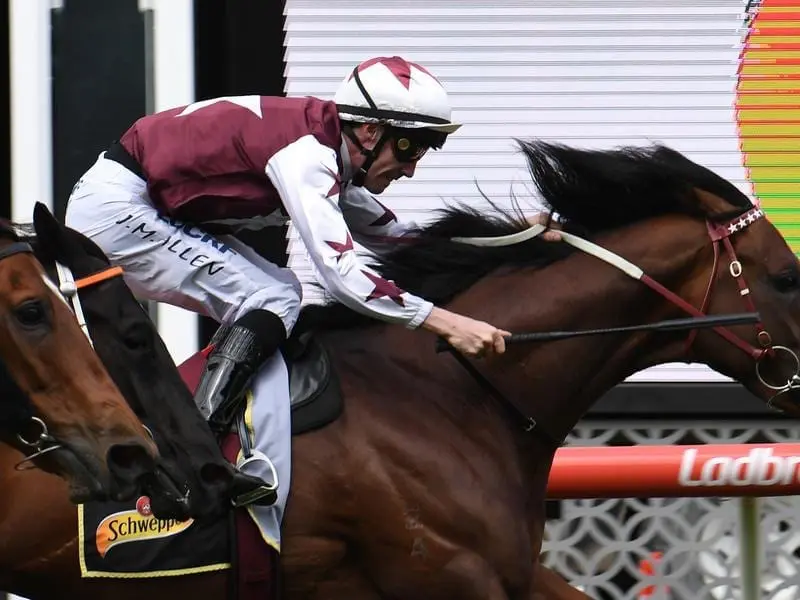 Cliff's Edge will back-up in the Group One Kennedy Mile after a gritty at Moonee Valley. Cliff's Edge wins at Moonee Valley.