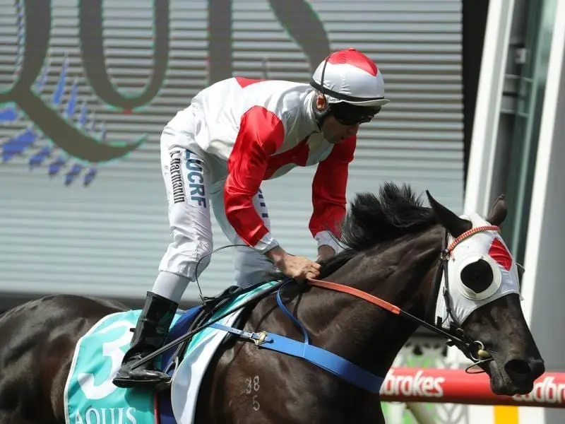 Tasmanian filly Mystic Journey has earned a break from racing after winning at Moonee Valley. Mystic Journey.