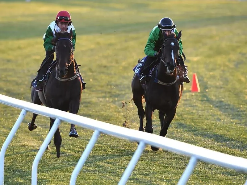 Thinkin' Big (left) and stablemate Shumookh gallop at Flemington.