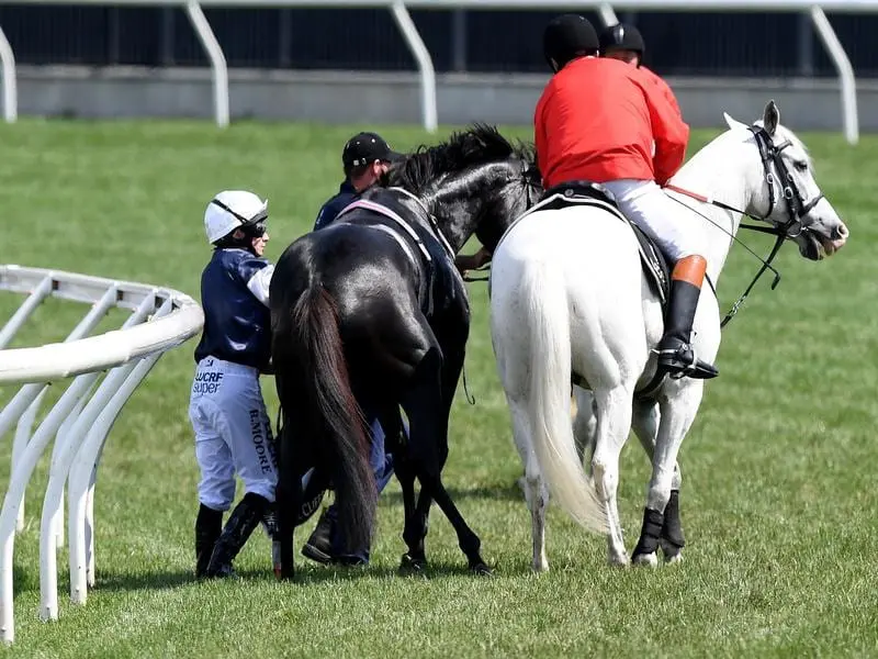 Jockey Ryan Moore on The Cliffsofmoher is assisted by a race steward.