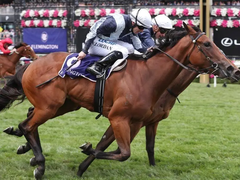 Vinicunca wins the Maribyrnong Plate.