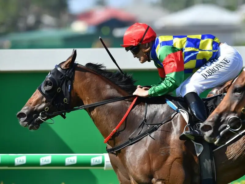 Trainer Stuart Kendrick is weighing up the weather for wet-tracker Hingus Rose at Doomben. hingus rose