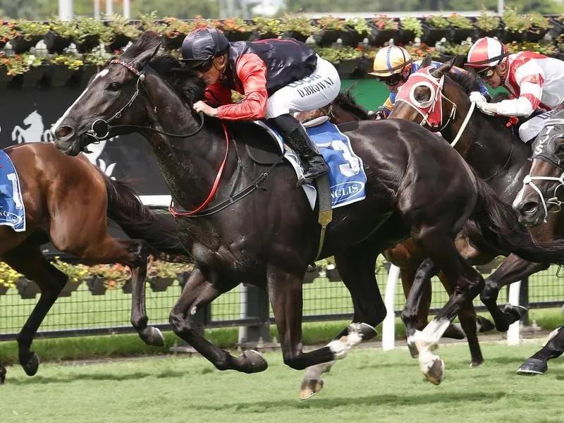 Damian Browne rides Awesome Pluck to victory in race 5 at Eagle Farm