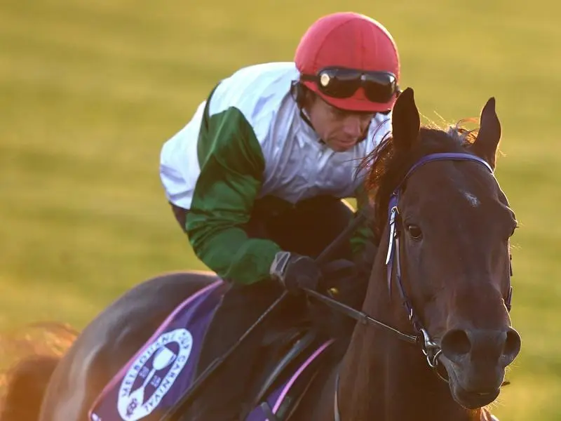 Highly rated three-year-old Thinkin' Big has been sold to Asia to do his future racing in Hong Kong. Thinkin' Big.