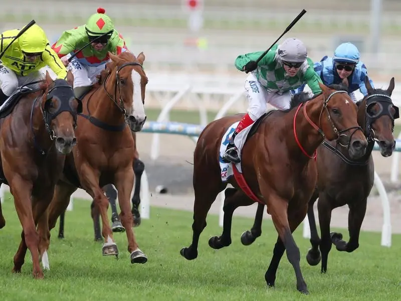 Amadeus (second right) wins at Pakenham.