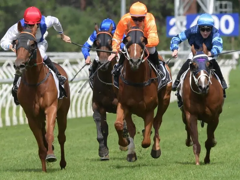 Jason Collett rides Monsieur Sisu to victory in race 5 at Warwick Farm