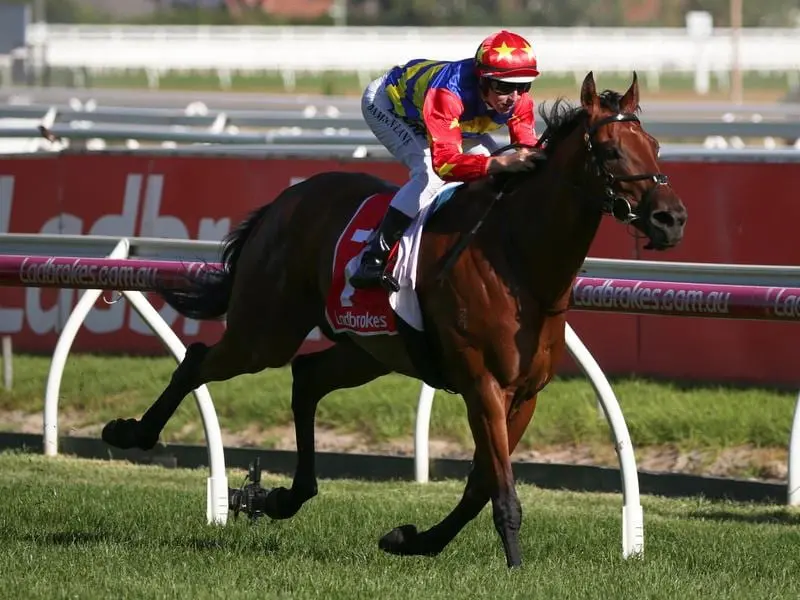 Jockey Damian Lane rides Rock 'N'Gold to victory.