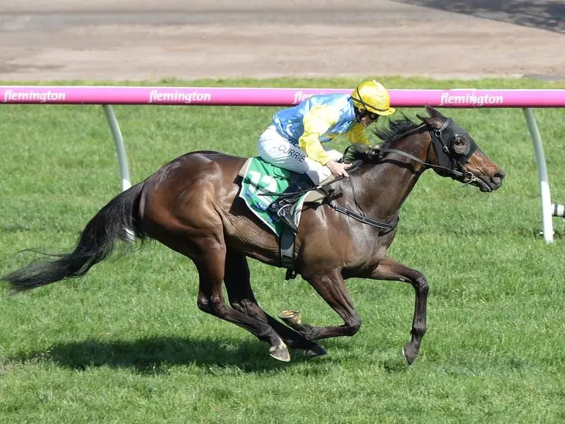 Bring Me Roses (above) and stablemate I'm A Princess resumed in the Listed John Dillon Stakes. bring me roses