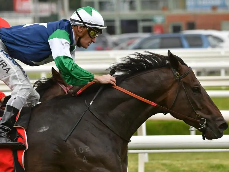 Bold Missile rewarded trainer Henry Dwyer's perseverance with a win at Caulfield under Mark Zahra. Bold Missile