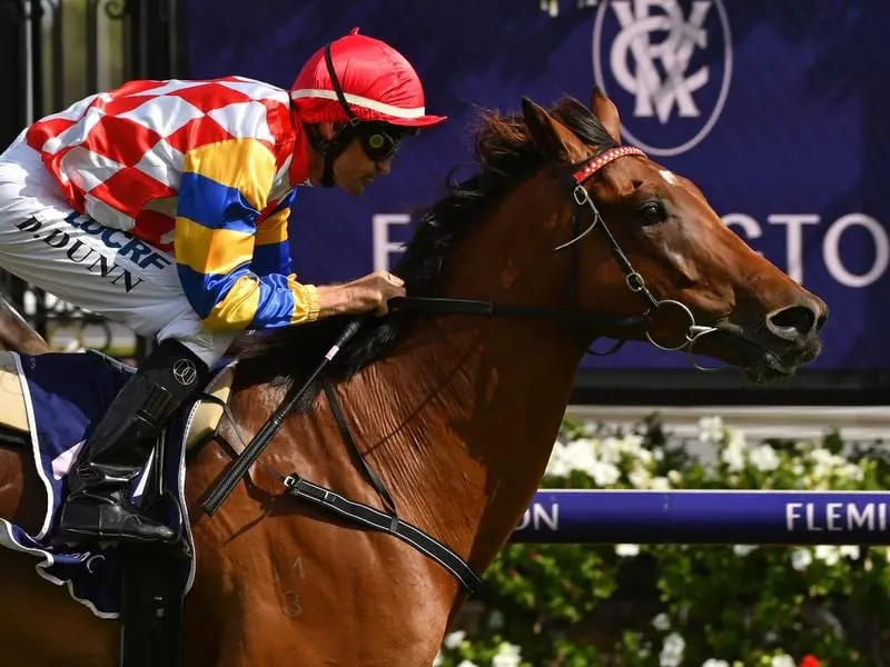 Tony Noonan is looking to Manolo Blahniq to back up his Manifold win with another Listed victory. manolo blahniq