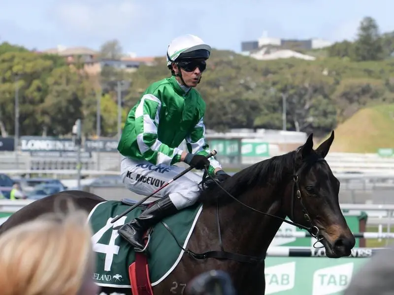 Catch Me is one of two fillies for Peter and Paul Snowden heading to the Blue Diamond Preview. catch me